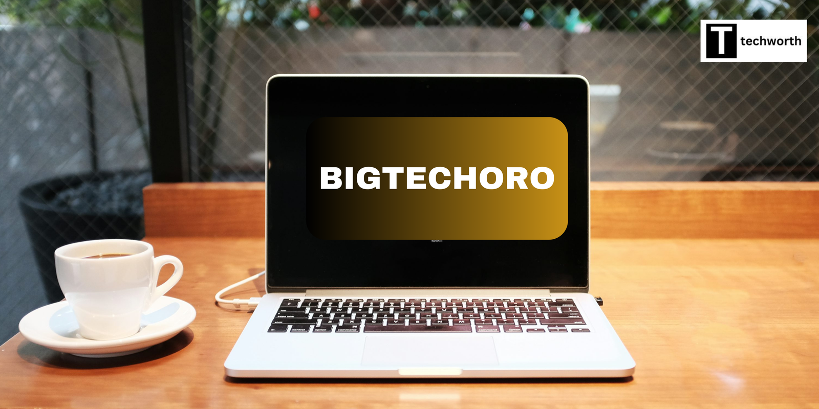 BigTechoro